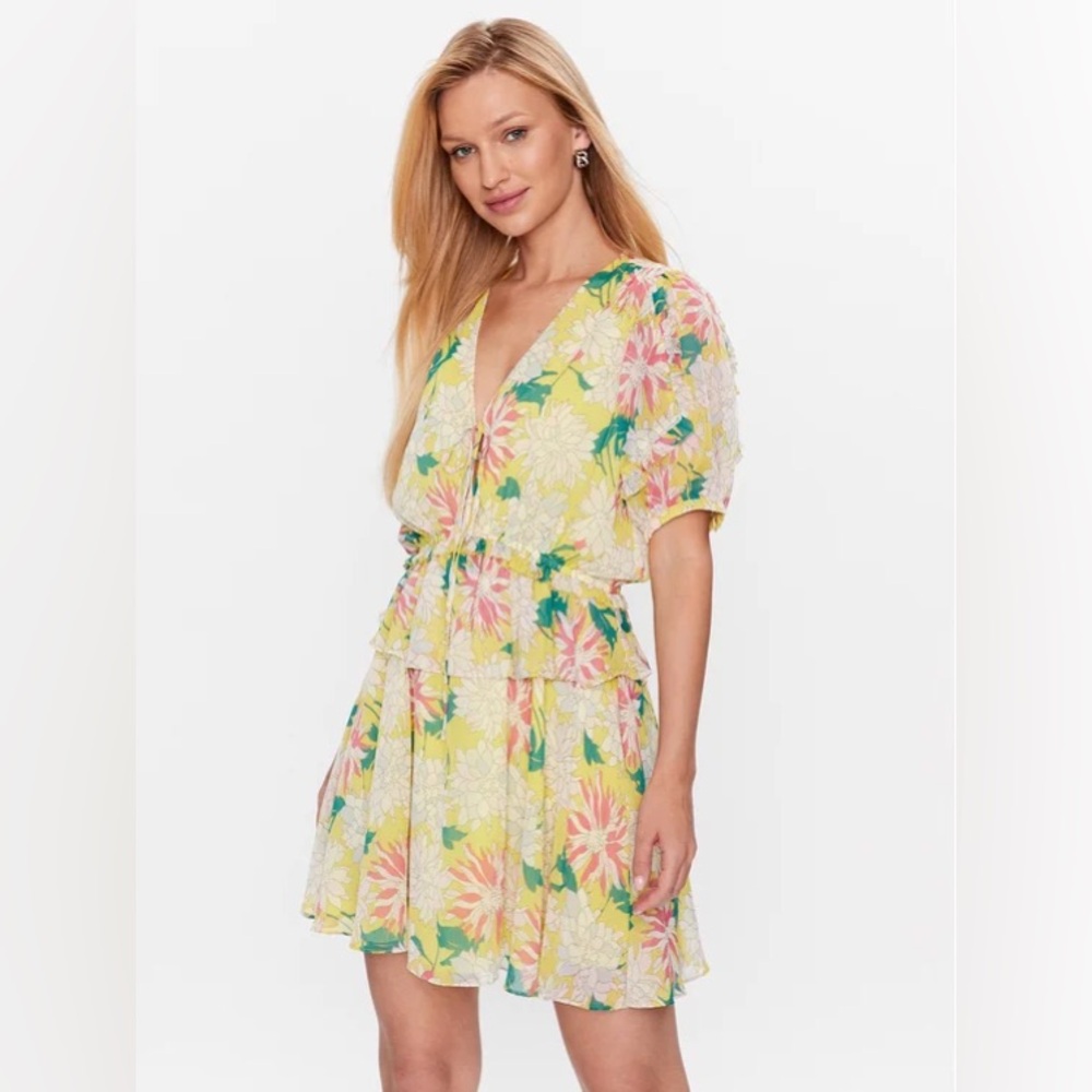 BNWT Ted Baker London Dress